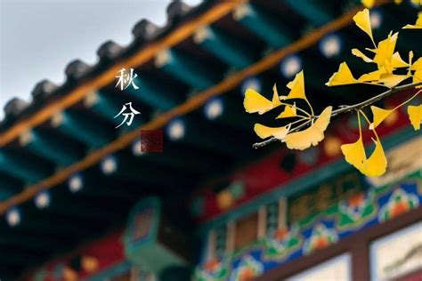 关于秋分节气的经典古诗（精选36