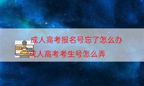 高考报名号忘了怎么办