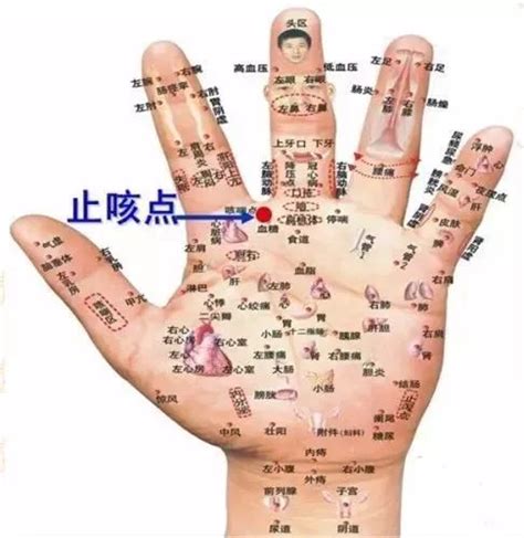ֽϵֹȵ㣬⼸Ѩλ