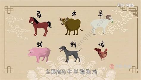 �������ָ�Ķ���ʲô��ָ����ţ