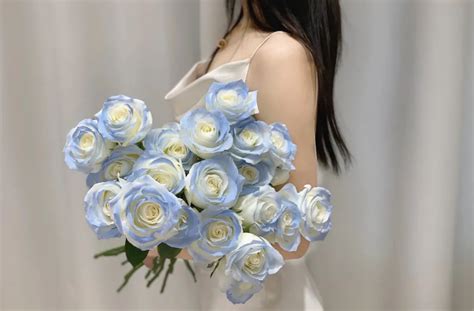 �����õ�廨����˺��ǳ���(Ԣ��������ӱ)