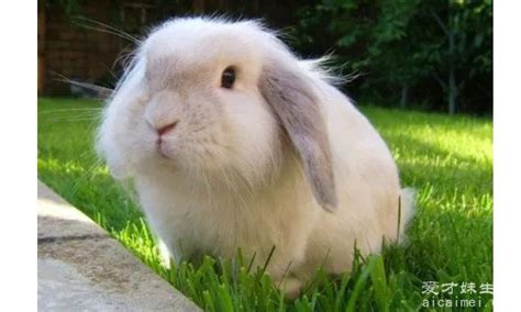 ��������ʲô��ɫ�����ɫ��Ӱ��۸�(���80